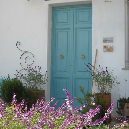 阿尔塔穆拉Giardino Della Moscatella住宿加早餐旅馆 外观 照片