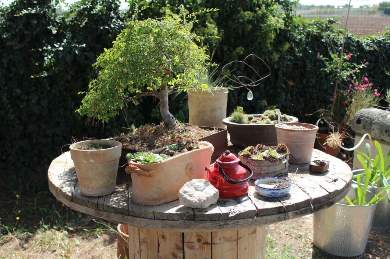 阿尔塔穆拉Giardino Della Moscatella住宿加早餐旅馆 外观 照片