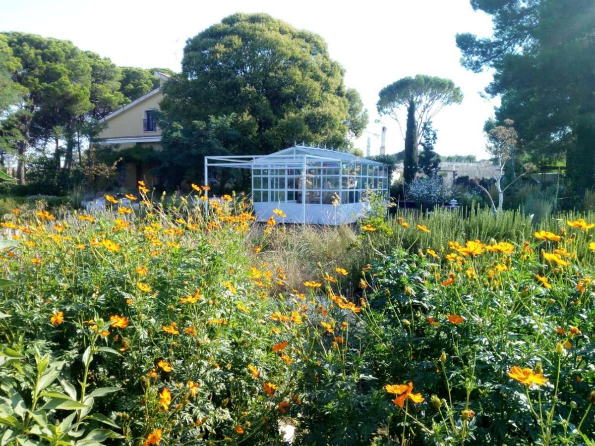 阿尔塔穆拉Giardino Della Moscatella住宿加早餐旅馆 外观 照片